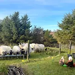 - Shanakeever Farm Clifden