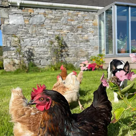 - Shanakeever Farm Clifden
