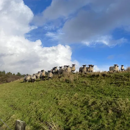 Accommodatie bij particulieren - Shanakeever Farm *