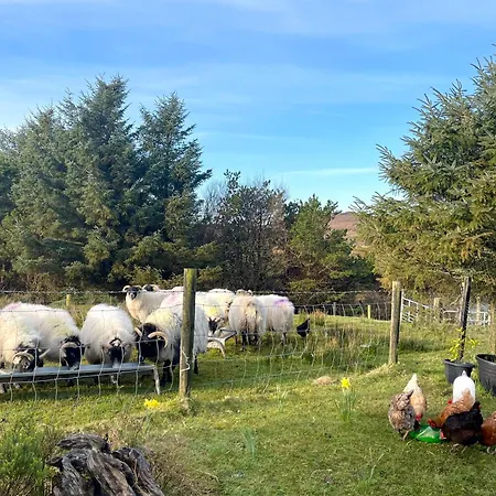 - Shanakeever Farm Clifden
